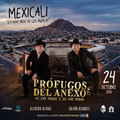 PRÓFUGOS DEL ANEXO - MEXICALI
